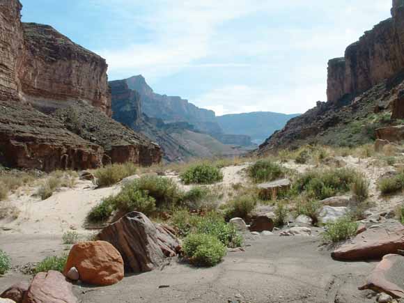 Photo of sandy canyon bottom with cliffs in background