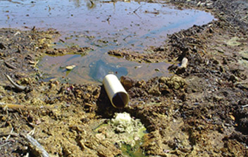Photo 2 shows a drainage pipe leading from a seep at the Rehoboth reclamation site.