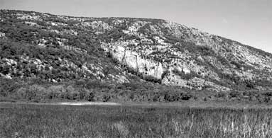 A black and white photograph of a snow-covered mountian rising from a grassy field.