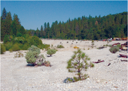 Figure 13 - Extensive volumes of historical hydraulic-mining sediment are located in Shady Creek, a tributary to the South Yuba River in the upper Yuba River watershed, California.