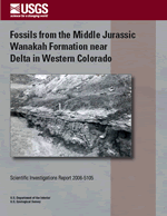 thumbnail of coverpage and link to report