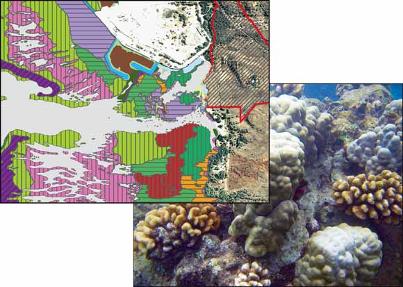 Map of habitats over an underwater photo of a coral reef