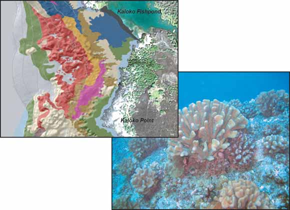 Cover shows two photographs. Left, enlarged portion of benthic habitat map showing Kaloko-Honokohau National Historical Park shoreline. Right, underwater photograph shows example of coral reef habitat on the Kona coast of Hawai'i.
