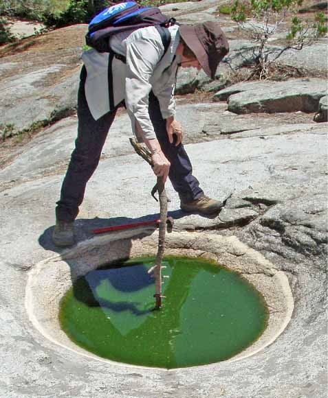 Photo of Karen measuring basin-water depth with a stick