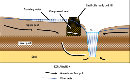 Figure 5.	Schematic drawing showing the effects of a ditch and spoil-pile road on
                        the flow of water from the swamp to a ditch, the Great Dismal Swamp, Virginia and
                        North Carolina.