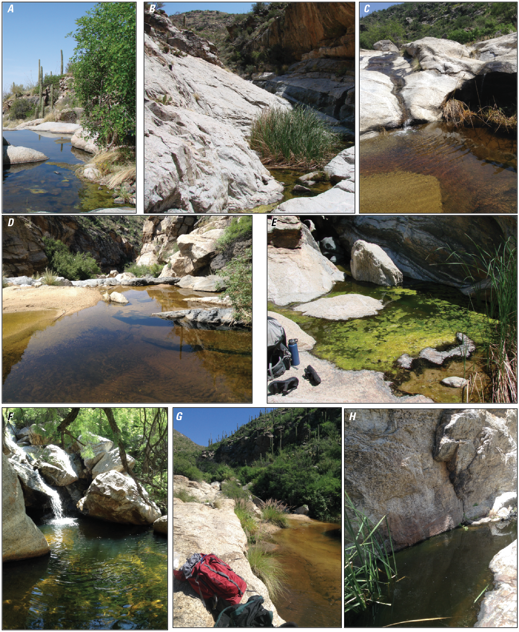Photographs of Box Canyon pools and sampling locations.