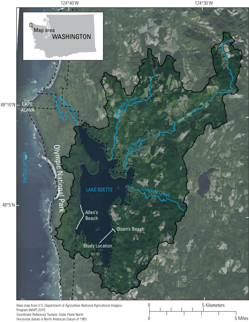 Map showing preferred spawning locations of the Lake Ozette sockeye salmon, at Allen’s
                     and Olsen’s Beaches, as well as the location of Olsen’s Beach sampling areas, Lake
                     Ozette, Clallam County, western Washington.