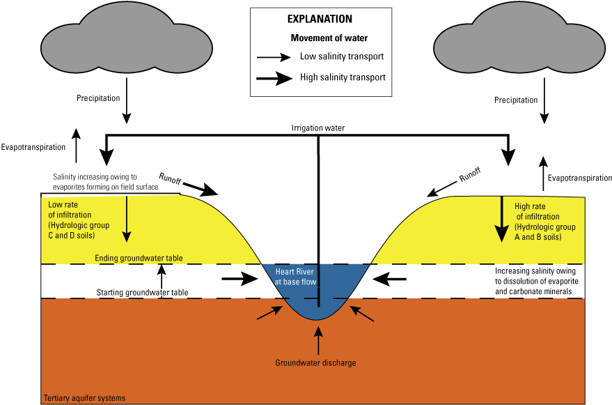 Processes at work in the study area during wet climate periods that increase salinity
                        such as runoff poorly drained soils and increase in base flow from increased in groundwater
                        levels.