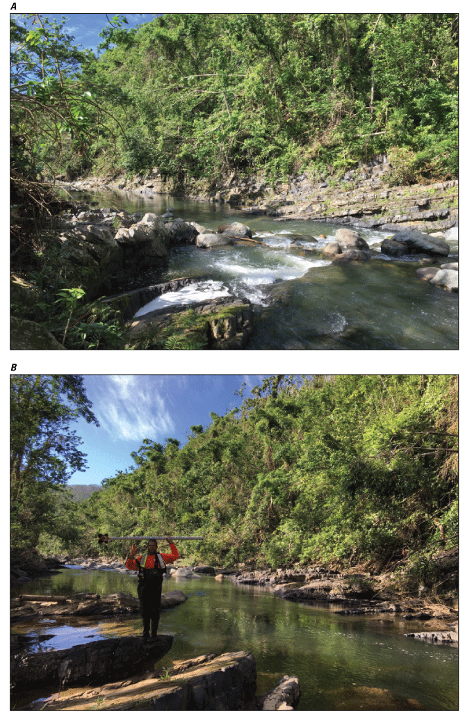 Figure 2.9. Photos of downstream conditions along study reach at Río Mameyes near
                        Sabana station.