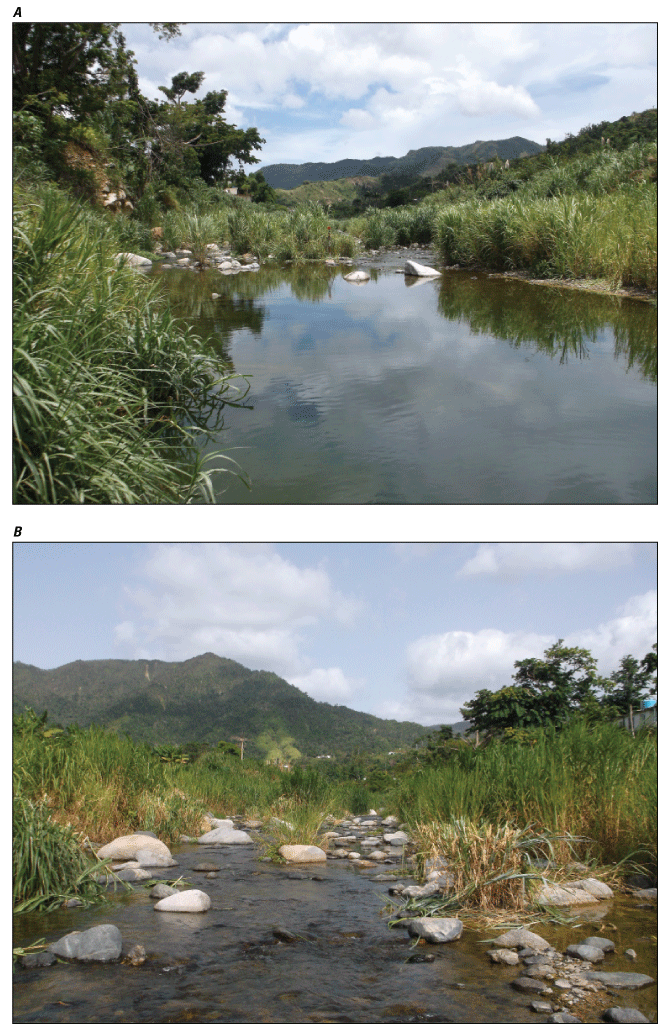 Figure 3.3. Photos of upstream and downstream views of study reach for Río Saliente
                        at Coabey station.