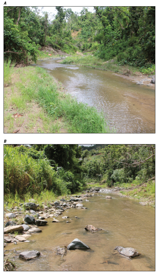 Figure 3.5. Photos of upstream and downstream views of study reach for Río Guadiana
                        near Guadiana station.