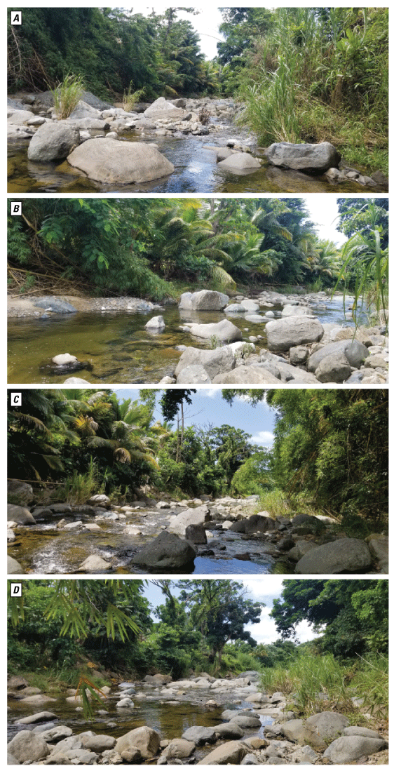 Figure 4.2. Photos of views of study reach at continuous slope area locations at Río
               Marín near Patillas station.