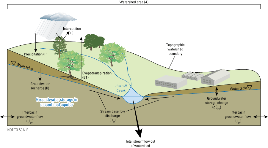 A schematic shows how precipitation infiltrates the groundwater system, is intercepted
                           by tree canopy, or is evapotranspirated by plants