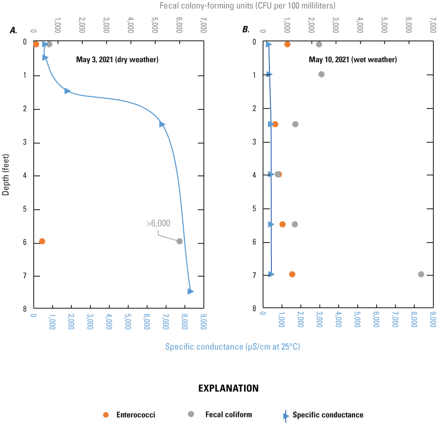 Blue lines are specific conductance, gray points are fecal coliform data, and orange
                        points are enterococci data. Bottom x-axes are specific conductance units; top x-axes
                        are fecal bacteria units. The y-axis represents depth.