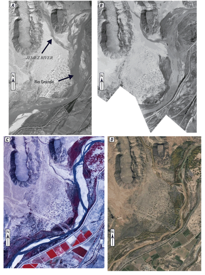 Figure 5. Aerial images of the Jemez River delta at the confluence of the Jemez River
                        and Rio Grande near Bernalillo, New Mexico: 1949, 1962, 1991, and 2014