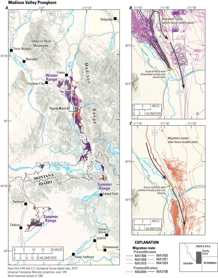 Figure 3. Map of Madison Valley pronghorn herd.