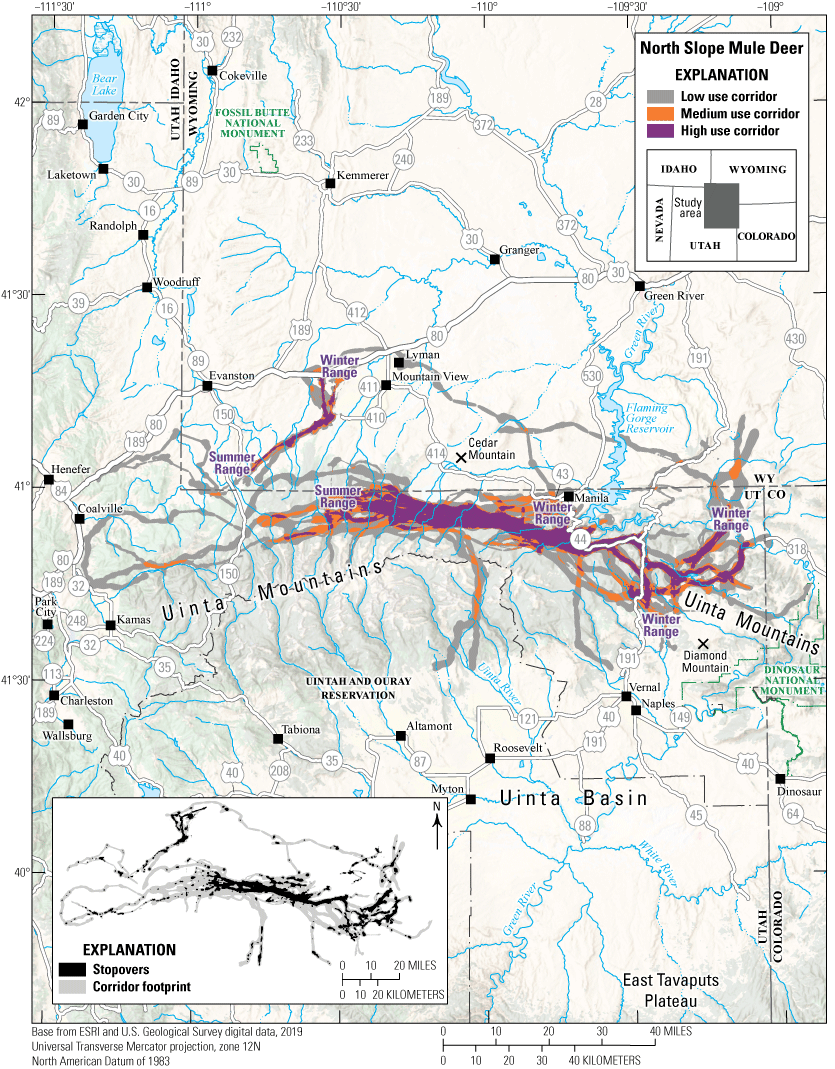 Figure 28. Migration corridors and stopovers.