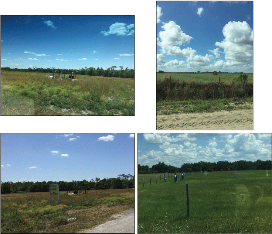 Figure 4. Photographs showing fallow fields observed in Florida between 2013 and 2021