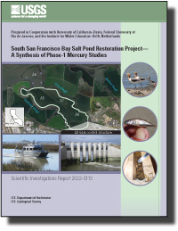 South San Francisco Bay Salt Pond Restoration Project—A synthesis of  Phase-1 mercury studies
