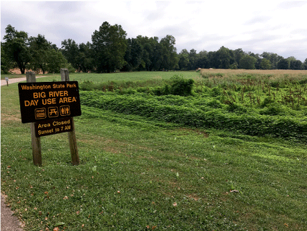 Effects of lead exposure on birds breeding in the Southeast