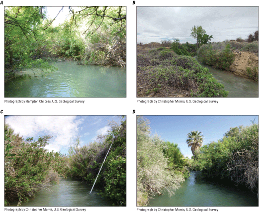 3. Four examples of a narrow river channel with dense, overhanging vegetation on both
                     banks.