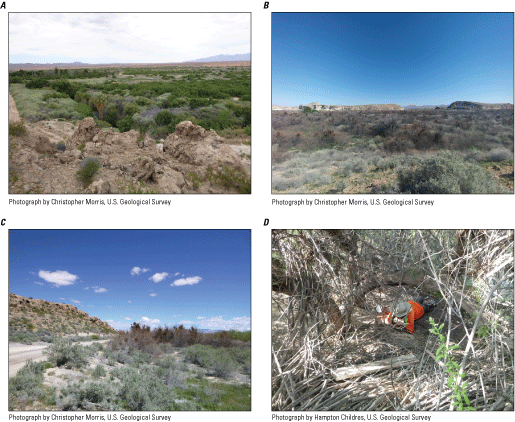 4. Four examples of flat floodplain with dense shrubs and trees.