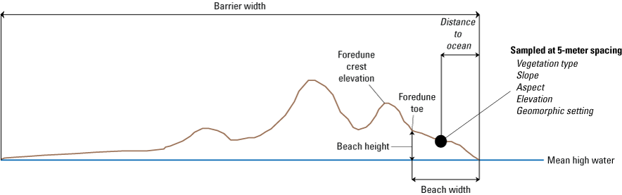 Metrics: barrier width, distance to ocean, foredune crest elevation, foredune toe,
                        beach height, beach width, mean high water, vegetation type, slope, aspect, elevation,
                        and geomorphic setting.