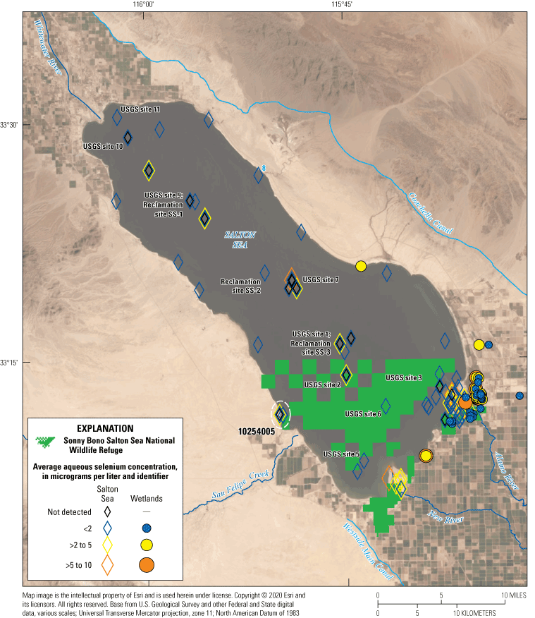 15. Selenium concentrations in the Salton Sea and surrounding wetlands