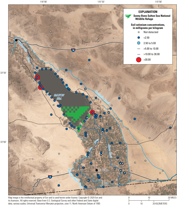 21. Selenium concentrations in soil in the Salton Sea region