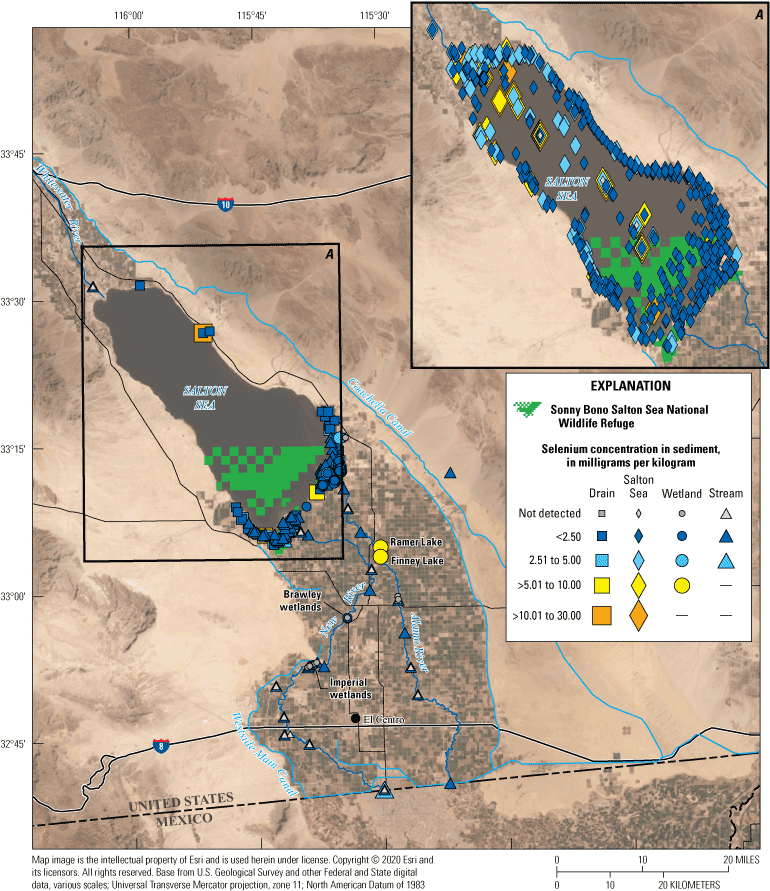 22. Selenium concentrations in drains, streams, wetlands, and the Salton Sea