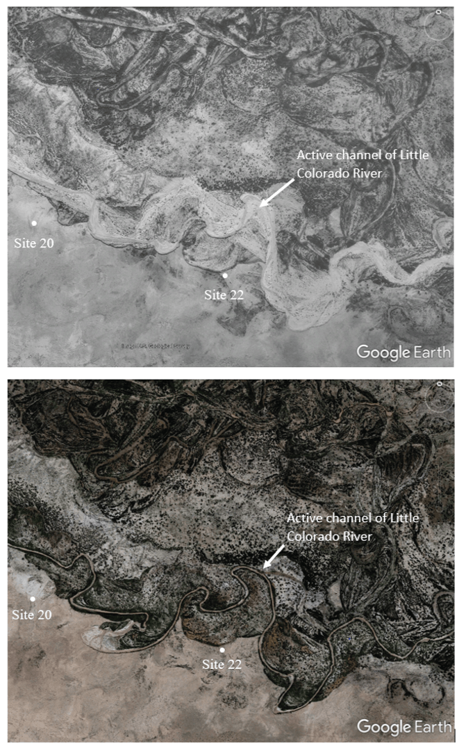 Figure 20.	Google Earth images showing area near sites 20 and 22 along the Little
                           Colorado River in 1997 and 2019. In the 1997 image the width of the Little Colorado
                           River’ channel is several times wider than it is in the 2019 image.