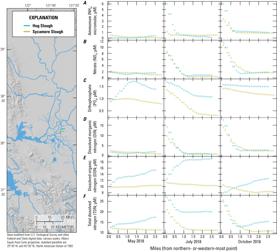 19. Nutrient concentrations across Hog and Sycamore Sloughs by river mile.