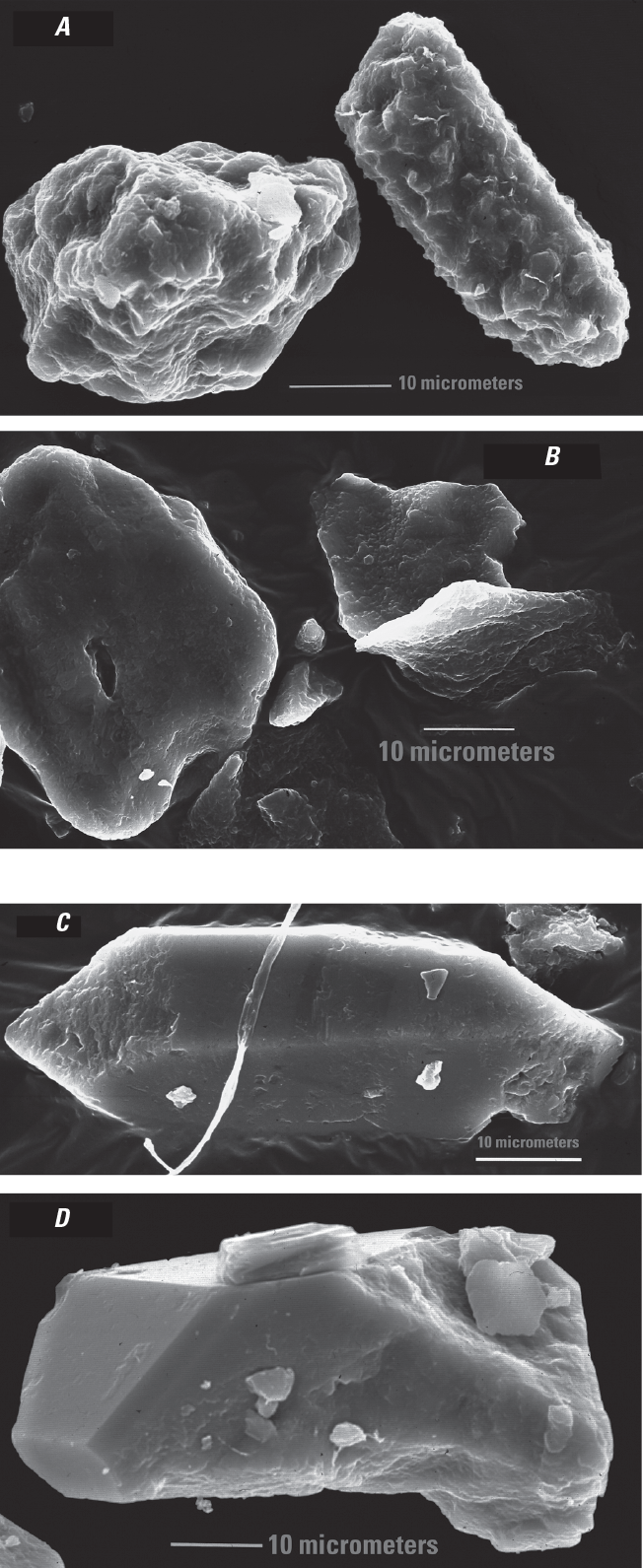 Very close-up photos of quartz silt grains with silica overgrowths resulting in jagged
                     to smooth to angular outlines.