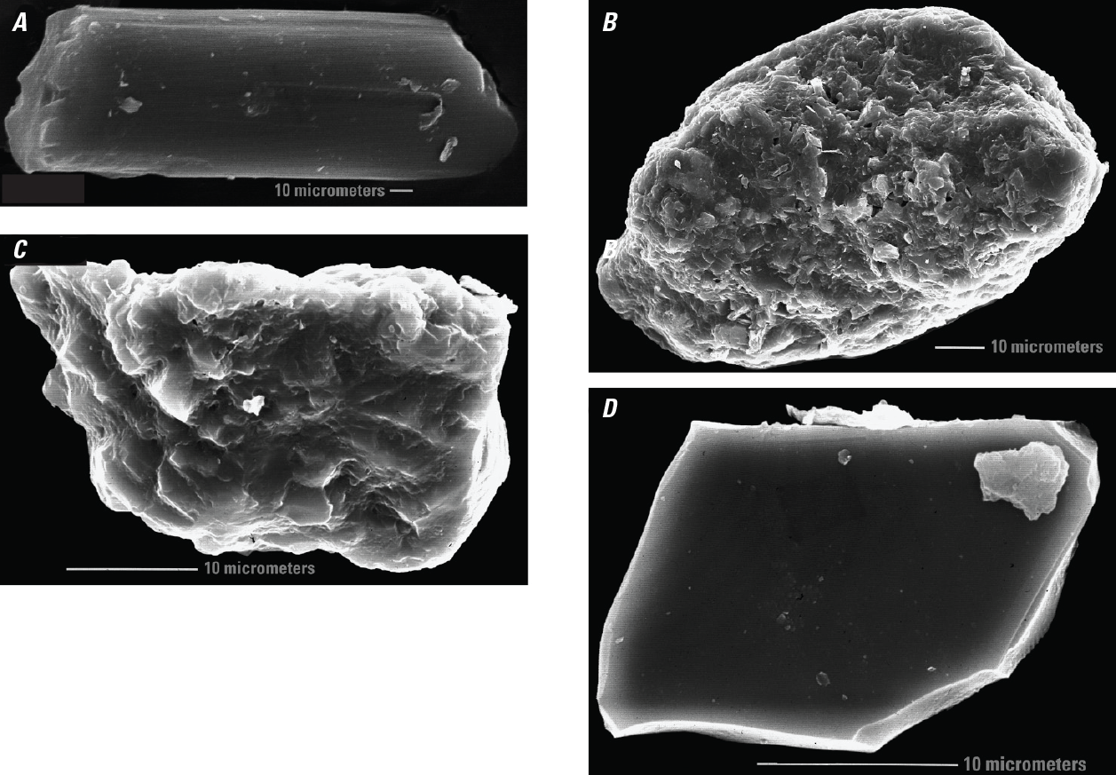 Very close up pictures of elongated and angular rutile, rounded aggregate grain with
                     some platy and rounded surface texture, an angular grain of sphene with a jagged surface
                     texture, and an angular, smooth grain of ilmenite.