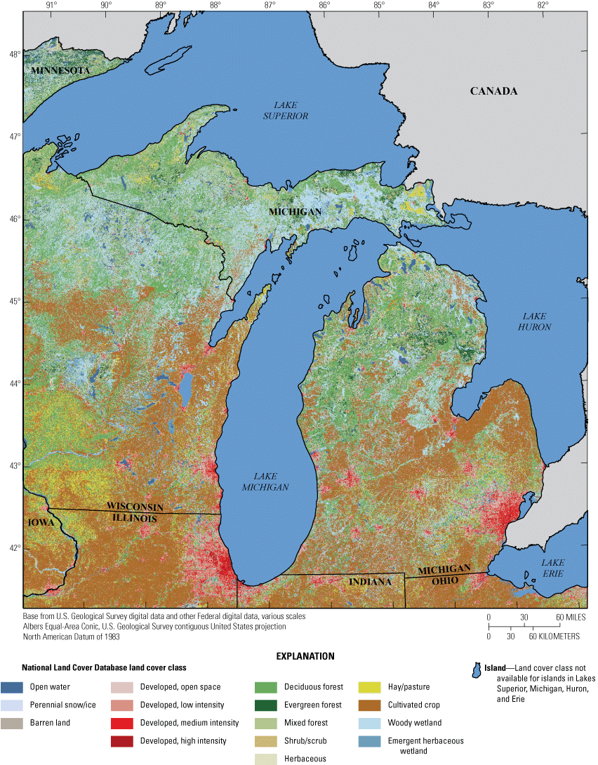 The dominant land cover classes in Michigan are primarily forest and wetlands in the
                        Upper Peninsula and northern Lower Peninsula, cultivated crops in the southern half
                        of the Lower Peninsula and developed land near the major cities.
