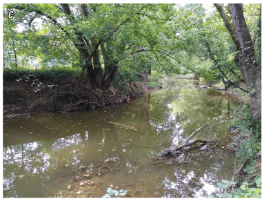 A photograph of Fourmile Creek near Uhl Road.