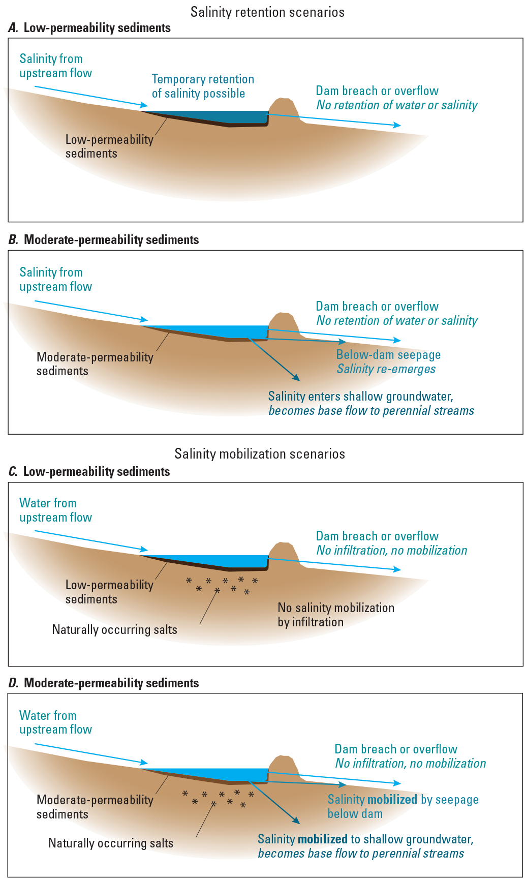 Figure 4.	Cartoon-like side views of sediment retention ponds with arrows and labels
                     indicating processes that move water and salts.