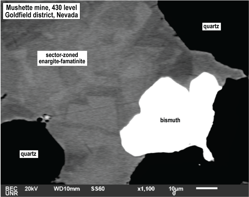 Back-scattered electron image of bismuth, enargite-famatinite, and quartz from Mushette
                              mine, Goldfield district, Nevada.