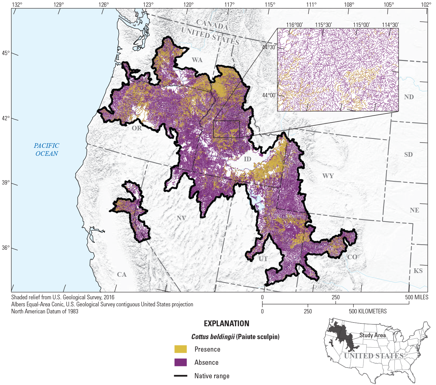 A map of northwestern United States showing streams with predicted presence of Paiute
                     sculpin in gold and absence in purple