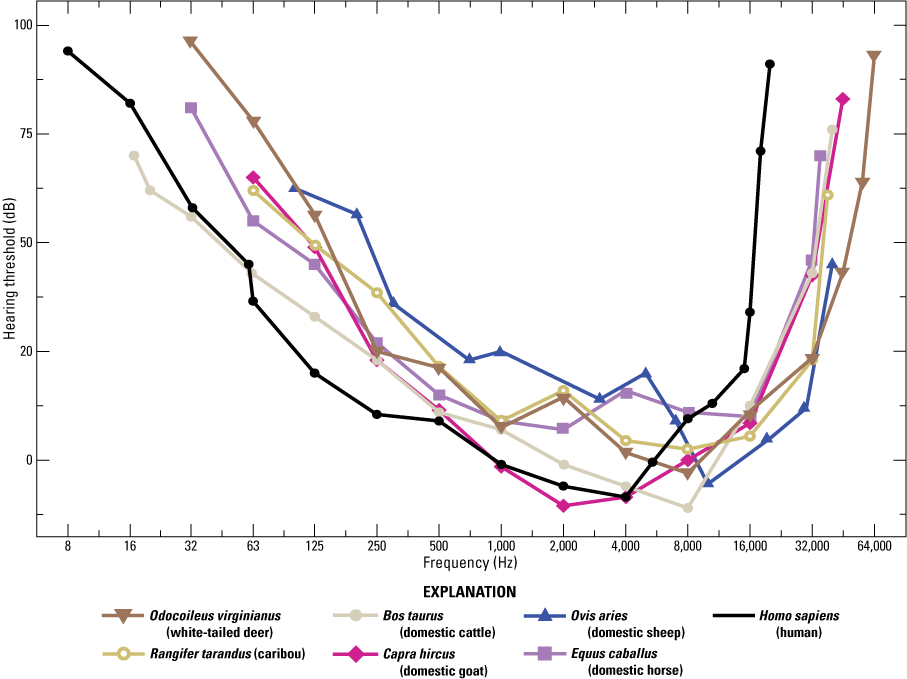 Graph comparing average audiograms of six ungulate species and humans.