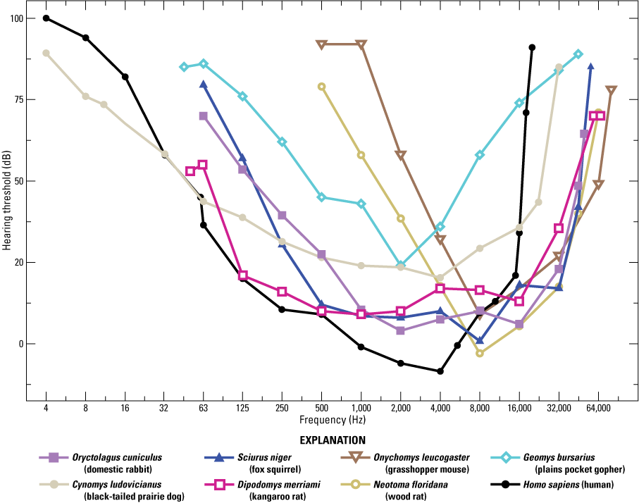 Graph comparing average audiograms of seven small mammal species and humans.