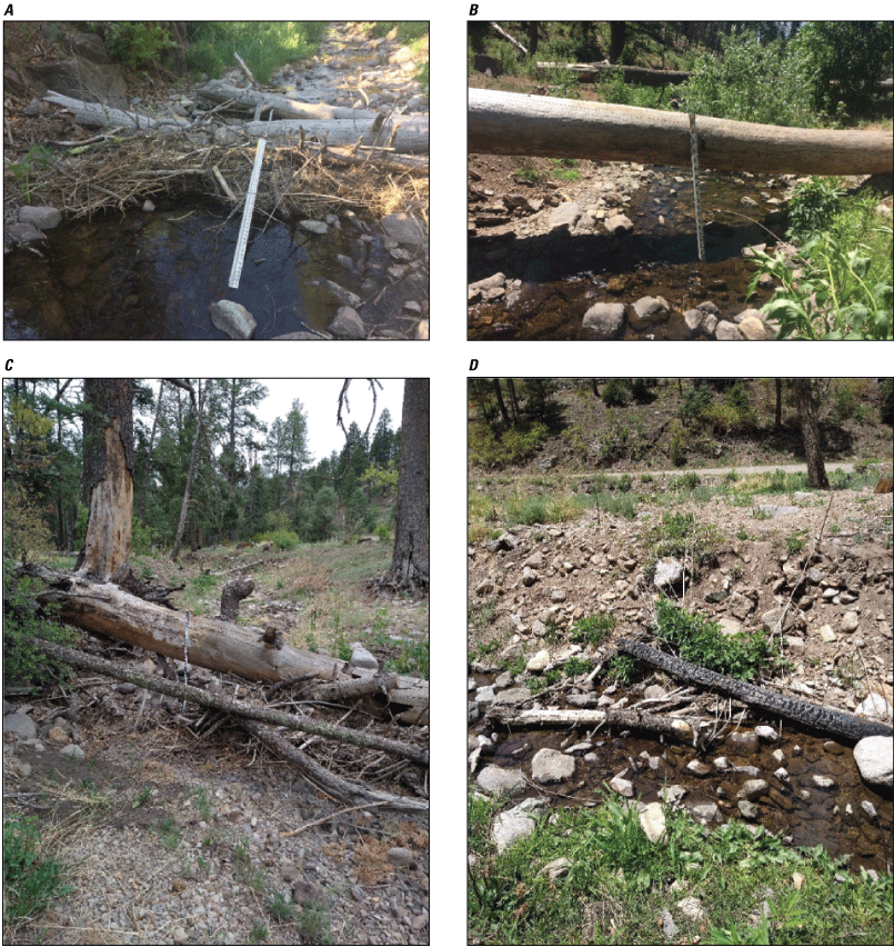 Alt text: Varying types of woody debris accumulations during one of the five surveys.
