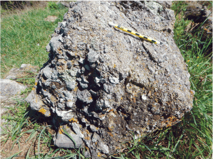 Squarish boulder with a bumpy surface. Grass and smaller rocks surround it.