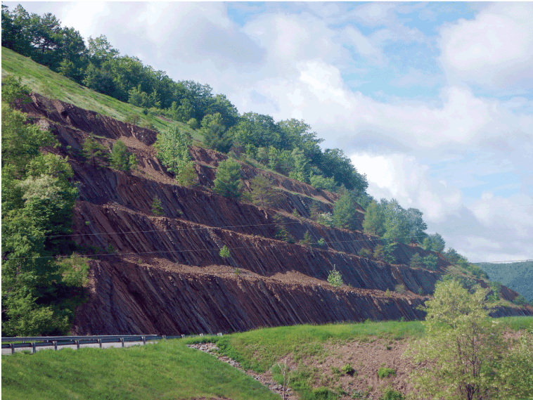 A hillside slopes from the top left down to the bottom right. The outcrop is exposed
                              over approximately three-quarters of the slope, with grass above.