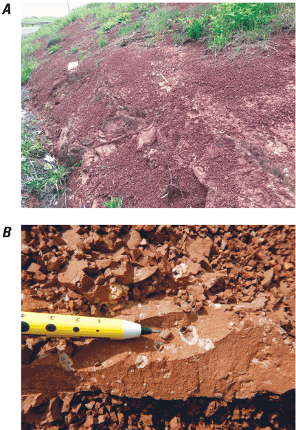 Photograph A shows a rounded mound of mudstone. Photograph B has a pen for comparison,
                              indicating that the vugs are pen-width in size.