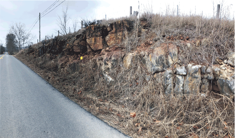 Squarish rocks along a roadside are partially covered in dead vegetation.