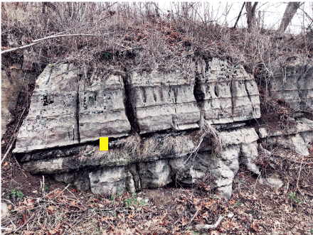 The vertical fractures in the limestone vary from tiny slivers of a few inches to
                              gaping crevices several inches wide.