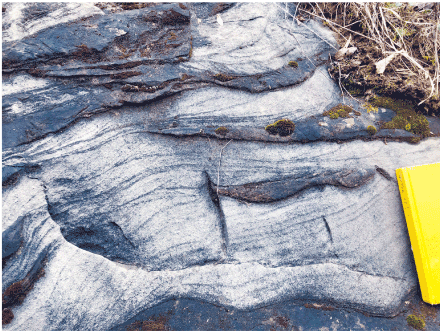 The limestone shows horizontal or upward slanting right striations in the limestone.