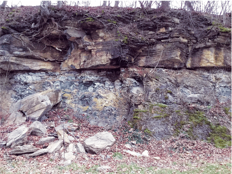 Dislodged limestone sits at the base of the shale stratum.