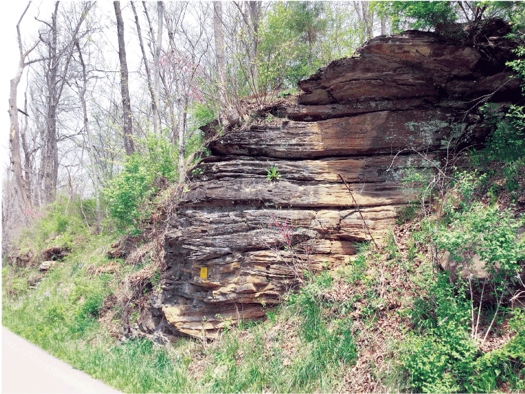 The weathered limestone is close to the hillside and along the bottom of the outcrop.